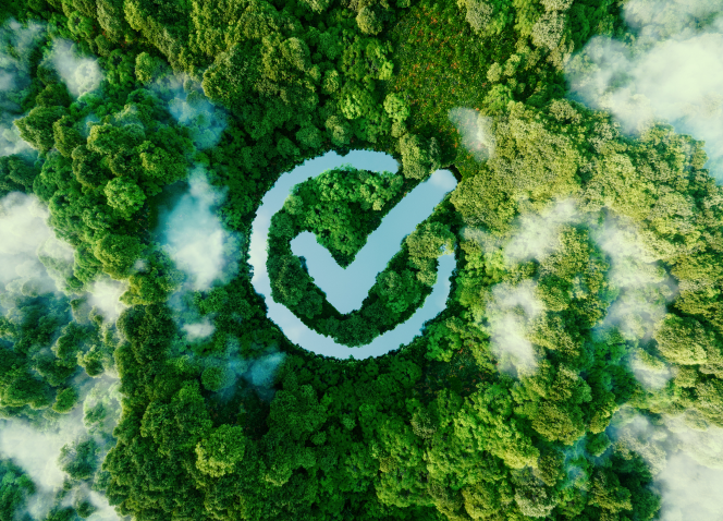 Uma vista aérea de uma floresta com uma marca de seleção no meio.