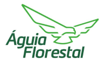 O logotipo da aguia florestal tem um pássaro verde.